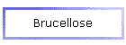 Brucellose