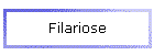 Filariose